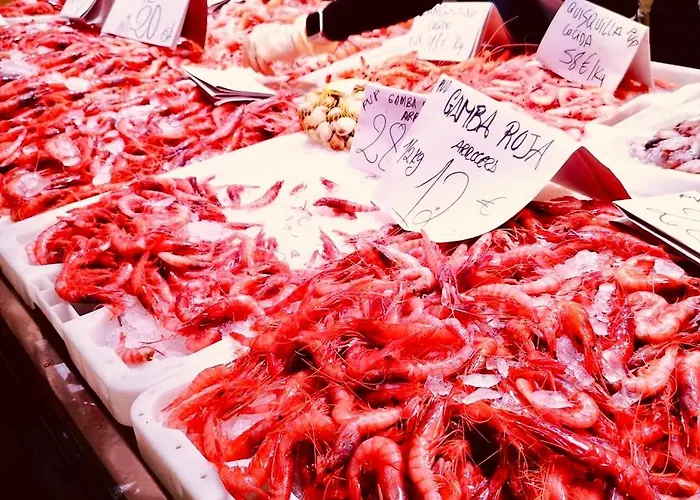 Desconecta Junto Al Mercado De Alicante