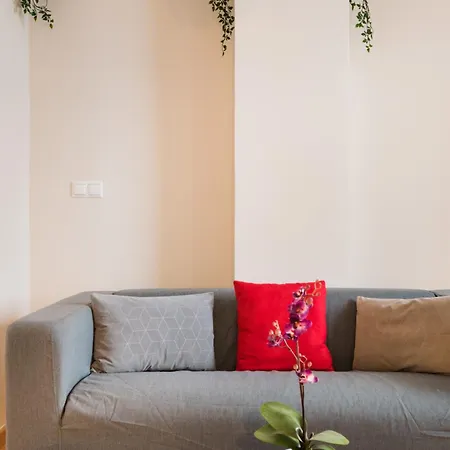 Desconecta Junto Al Mercado De Appartement Alicante